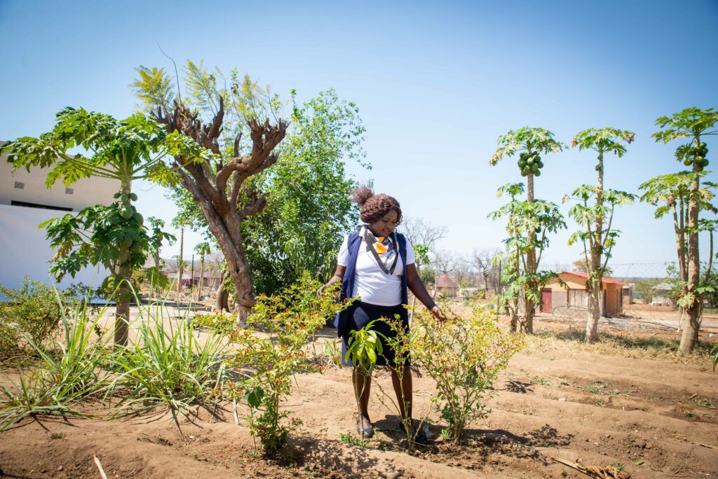 Dream big, even if you start small | Grow Great Campaign